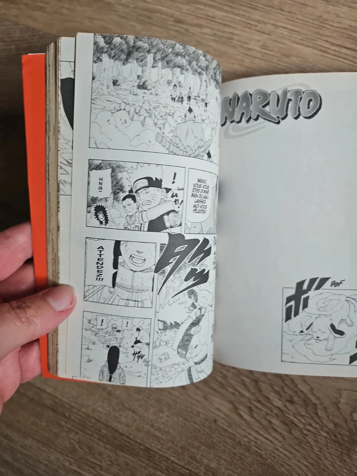 Manga Naruto tomo 21 – photo 4
